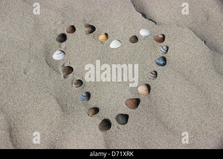 Heart designed with sea shells on the beach Stock Photo