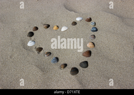 Heart designed with sea shells on the beach Stock Photo