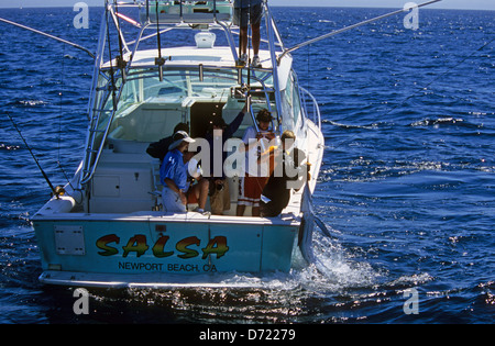 Fishermen landing a striped marlin (Tetrapturus audax) on a sport fishing boat near Cabo San Lucas Baja California Mexico Stock Photo