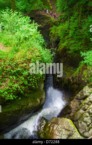 Aira Force waterfall on Aira Beck in the Lake District National Park, Cumbria, England. Stock Photo