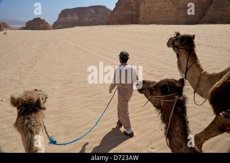 Riding a camel through the Sinai desert Stock Photo