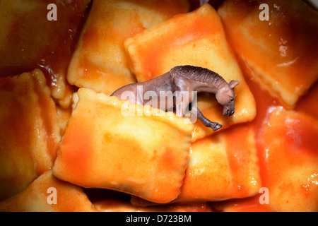 Horse figure in ready-to-serve meal, Pferdefleischskandal Stock Photo