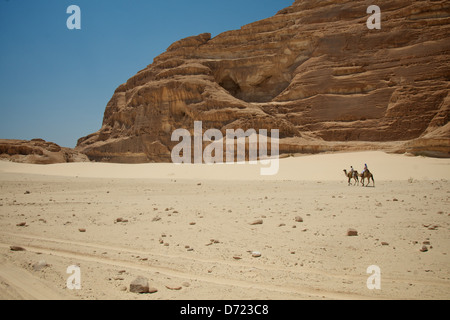 Riding a camel through the Sinai desert Stock Photo