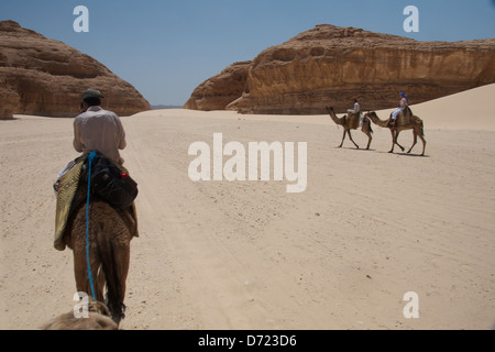 Riding a camel through the Sinai desert Stock Photo