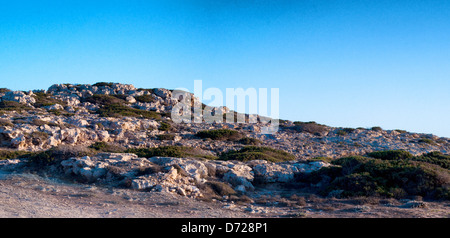 Cyprian wild rocky landscape, bush and grass on rocks Stock Photo