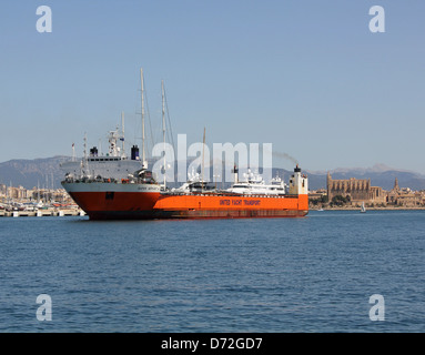 Dock Express / United Yacht Transport semi-submersible yacht transporter 'Super Servant 4' arriving from USA into the Palma Stock Photo