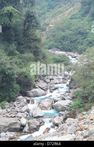 Nature trail. National Kanchenjunga sikkim India. Stock Photo
