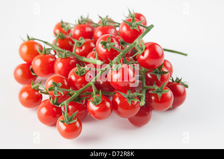 Fresh baby tomatoes on the vine-Solanum lycopersicum Stock Photo