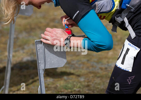 Yorkshire Three Peaks Challenge Saturday 27th April, 2013. Runners using the dibber to register position at the The 59th Annual 3 Peaks Race with 1000 fell runners starting at the Playing Fields, Horton in Ribblesdale, Nr, Settle, UK.  Pen-y-Ghent is the first peak to be ascended then Whernside and finally the peak of Ingleborough. The race timed using the SPORTident Electronic Punching system. Stock Photo