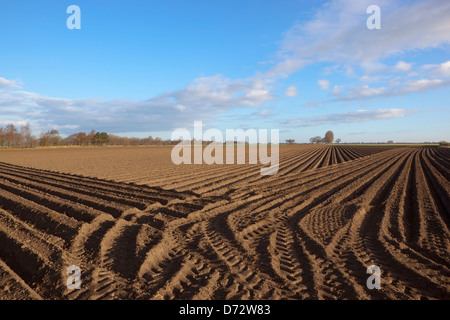 Pattern and textures of wheel marks and potato rows in the cultivated soil of an arable landscape in springtime Stock Photo