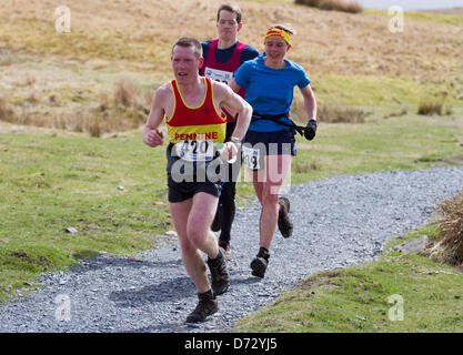 Yorkshire, UK. 27th April 2013. Competitors 420 Dave Ward and 839 Jasmin Paris taking part in the Yorkshire Three Peaks Challenge Saturday 27th April, 2013. The 59th Annual 3 Peaks Race with 1000 fell runners starting at the Playing Fields, Horton in Ribblesdale, Nr, Settle, UK.  Pen-y-Ghent is the first peak to be ascended then Whernside and finally the peak of Ingleborough. The race timed using the SPORTident Electronic Punching system. Stock Photo