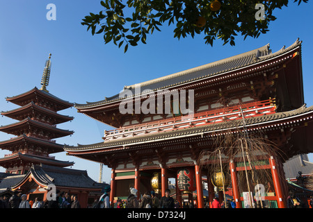 Asakusa Kannon Temple (Senso-ji Temple) and Pagoda, Tokyo, Japan Stock Photo