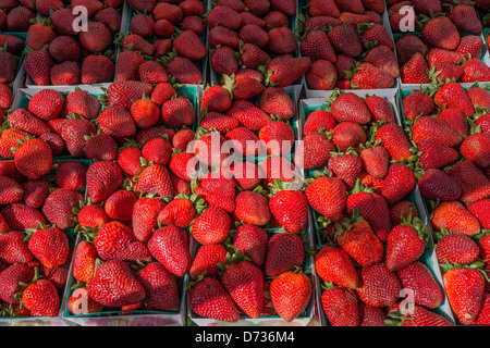 Cartons of strawberries for sale at a farmers´ market in London Stock ...