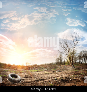 Garbage dump on the background of evening sunlight Stock Photo