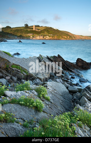 View of Wembury Bay in evening light. Stock Photo