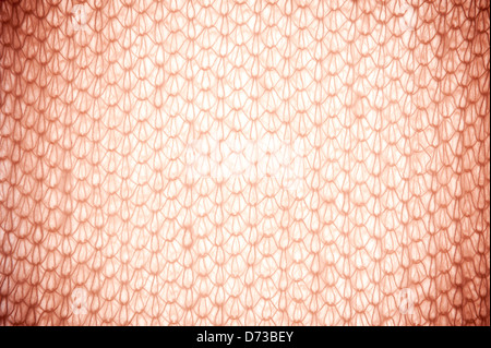 Sepia fluffy knitted fabric texture abstract Stock Photo