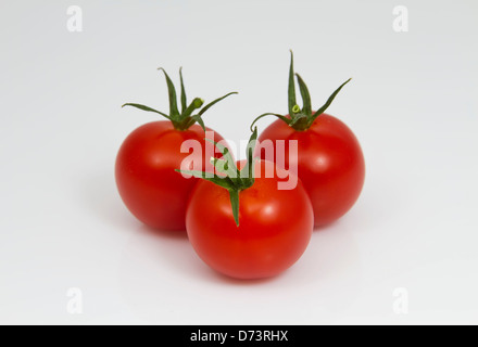 Tomatoes Stock Photo