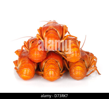 Boiled crayfishes. Isolated on a white background Stock Photo