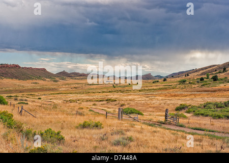 Dark blue clouds pour rain over a prairie covered in grass that displays a rich variety of yellow tones. Stock Photo