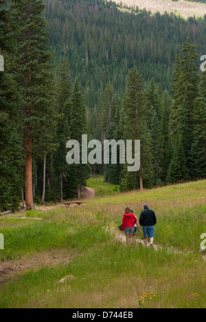 A group of hikers is walking up a trail crossing a prairie, surrounded by a tall forest. Stock Photo