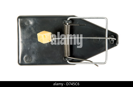 A mouse trap with cheese on it Stock Photo