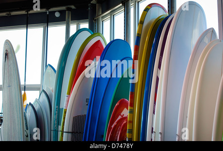 A collection of new surfboards standing upright in a shop for sale