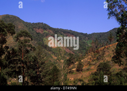 Madagascar, Near Moramanga, Mandraka, Clearcut Hills With Rain Forest On Top Stock Photo