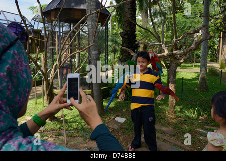 Indonesia, Bali, Central region, ornithological park, picture of a child with ara parrots on his body Stock Photo