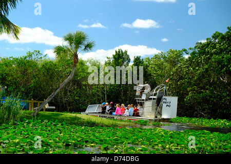 Air Boat ride through the everglades national park, Florida, USA