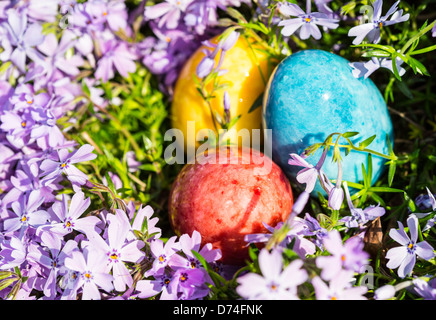 Alabaster Easter eggs hidden in a patch of wild Phlox for the kids to find. Stock Photo