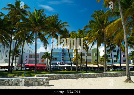 Art Deco Hotels, Ocean Drive, Miami Beach, Miami, Florida Stock Photo