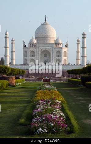 taj mahal,royal palace,agra,uttar pradesh india Stock Photo