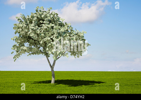 Dollar bills on a money tree - USA economy concept Stock Photo