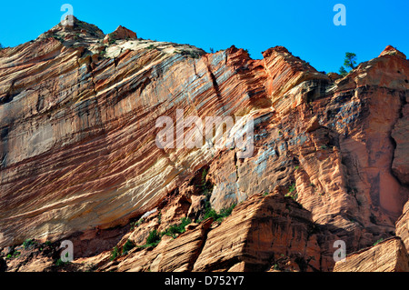 Wall of Zion canyon in Zion National Park exhibiting fractured layers of colored sandstone Stock Photo