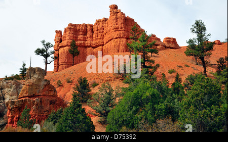 Red rock formations in Red Canyon, Utah Stock Photo