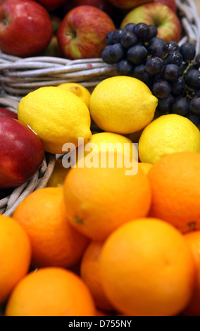 Berlin, Germany, Citrusfruechte at Fruit Logistica Stock Photo