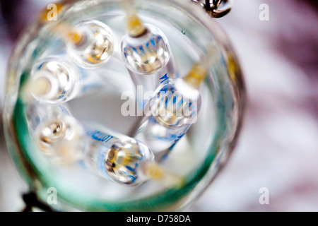 Glass ampoules of various trace elements. Stock Photo