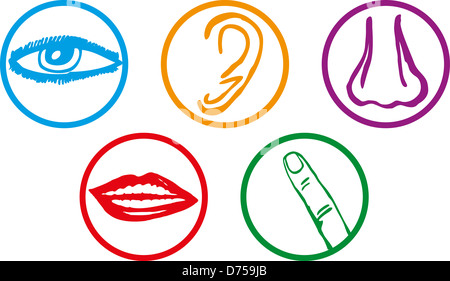 Five senses icon set - Vector Illustration Stock Photo