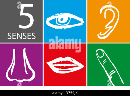 Five senses icon set - Vector Illustration Stock Photo