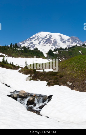Paradise Meadows Area, Mount Rainier National Park, Washington, USA Stock Photo