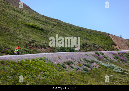 Lone cyclist loaded with camping gear riding the limited access road over Thorofare Pass, Denali National Park, Alaska, USA Stock Photo