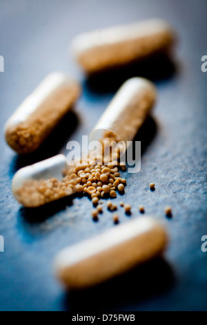 Brewer's yeast capsules. Stock Photo