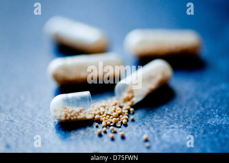 Brewer's yeast capsules. Stock Photo