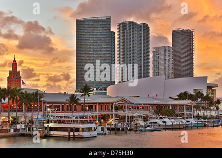 Marina at Bayfront Marketplace and skyscrapers, Miami, Florida USA Stock Photo
