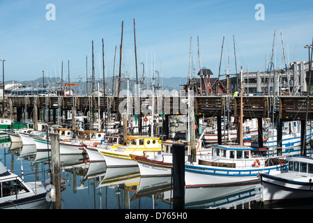 SAN FRANCISCO, California, United States — Colorful wooden fishing boats rest at their moorings in Fisherman's Grotto, adjacent to the famous Fisherman's Wharf in San Francisco. This picturesque scene captures the enduring maritime heritage of the area, showcasing traditional fishing vessels against the backdrop of one of the city's most popular tourist destinations, where the fishing industry and tourism intersect. Stock Photo