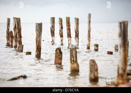 A peaceful scene with old pier piles Stock Photo