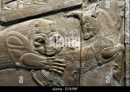 19 th C plaster cast in British Museum of Zoroastrian lion attacking bull approx. 500 BC. Palace of Darius at Persepolis, Iran Stock Photo