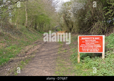 Sign warning of badger activity on the Marriott's Way footpath near Reepham, Norfolk Stock Photo