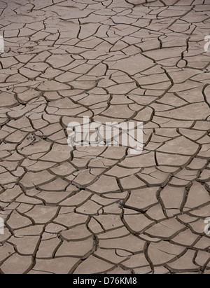 Portrait photograph of a dry river bed, showing dried cracked mud. Stock Photo