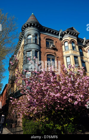 Brownstone buildings in the Park Slope area of Brooklyn, New York City. Stock Photo